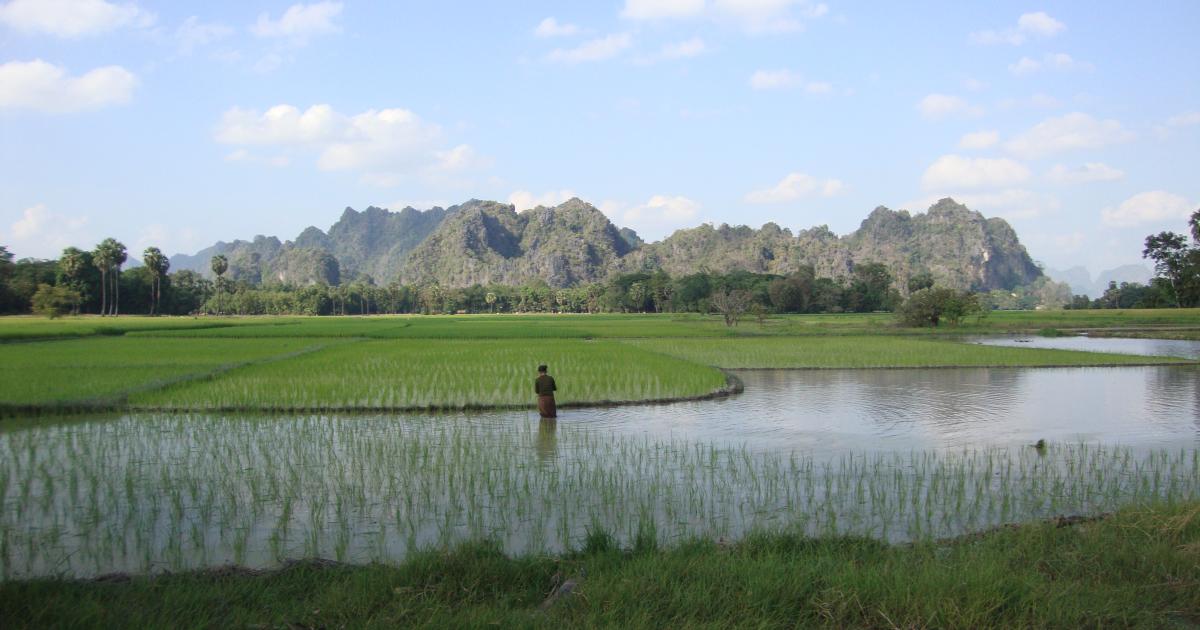 Migration Begå underslæb vedtage Myanmar's Natural Resources: Blessing or Curse? ➢ Read now!