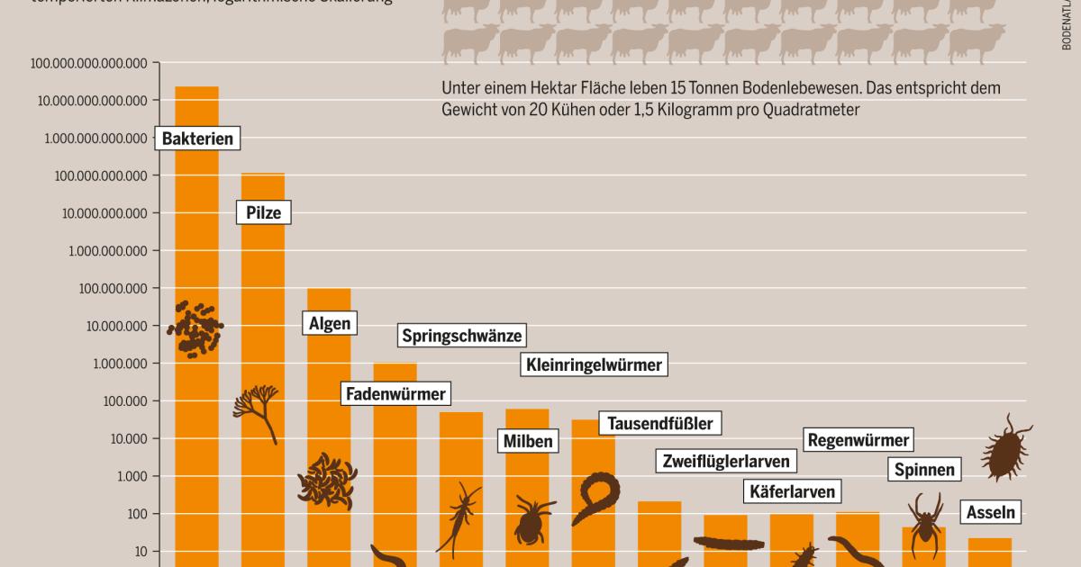 bodenatlas2015_grafik_12_hoeher.png.jpeg?itok=kZ5Jmt_f
