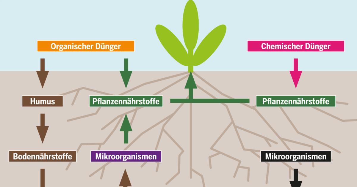 Öko-Landbau: Der lange Kampf für bessere Böden | Heinrich-Böll-Stiftung