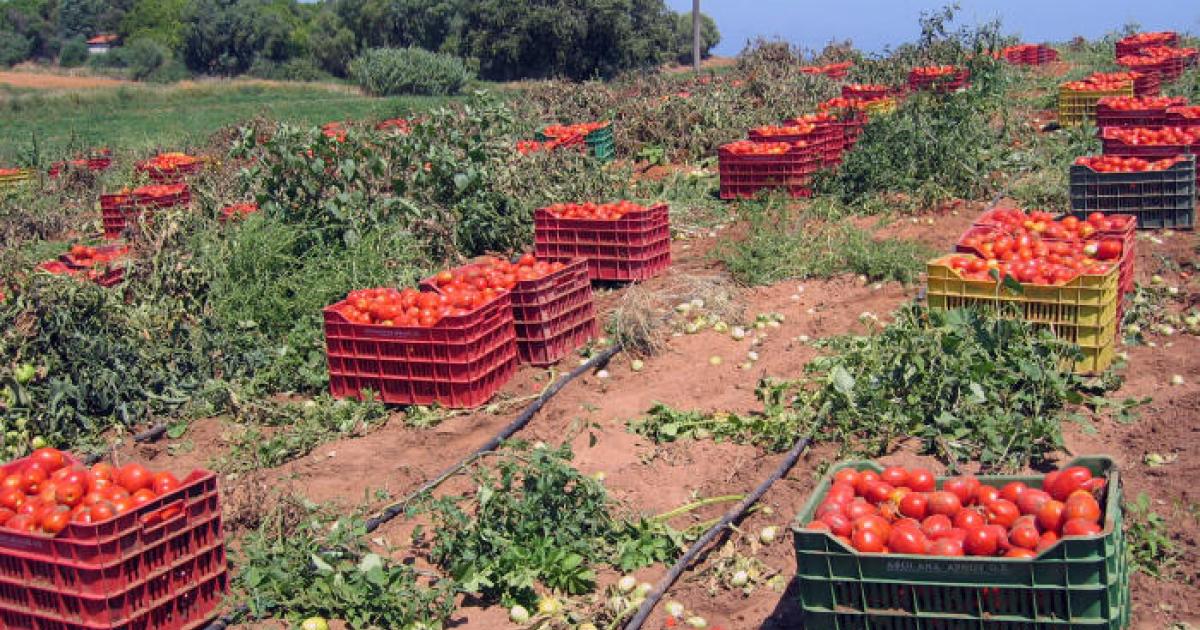 Agriculture Food Production And Labour Migration In Southern Europe Heinrich Boll Stiftung