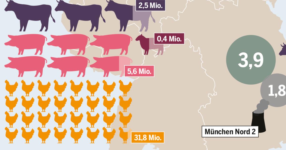 Klima Viel Weniger Emissionen Nur Mit Viel Weniger Tieren Heinrich Boll Stiftung