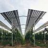 Eine Agri-PV-Anlage steht über Apfelbäumen auf dem Obsthof Bernhard in Kressbronn am Bodensee.