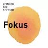 Böll.Fokus Logo