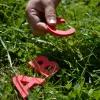 Eine Hand legt rote Buchstaben (A,B und C) auf grünes Gras. 