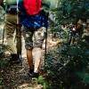 Ostdeutschland: Foto von zwei Wanderern im Wald