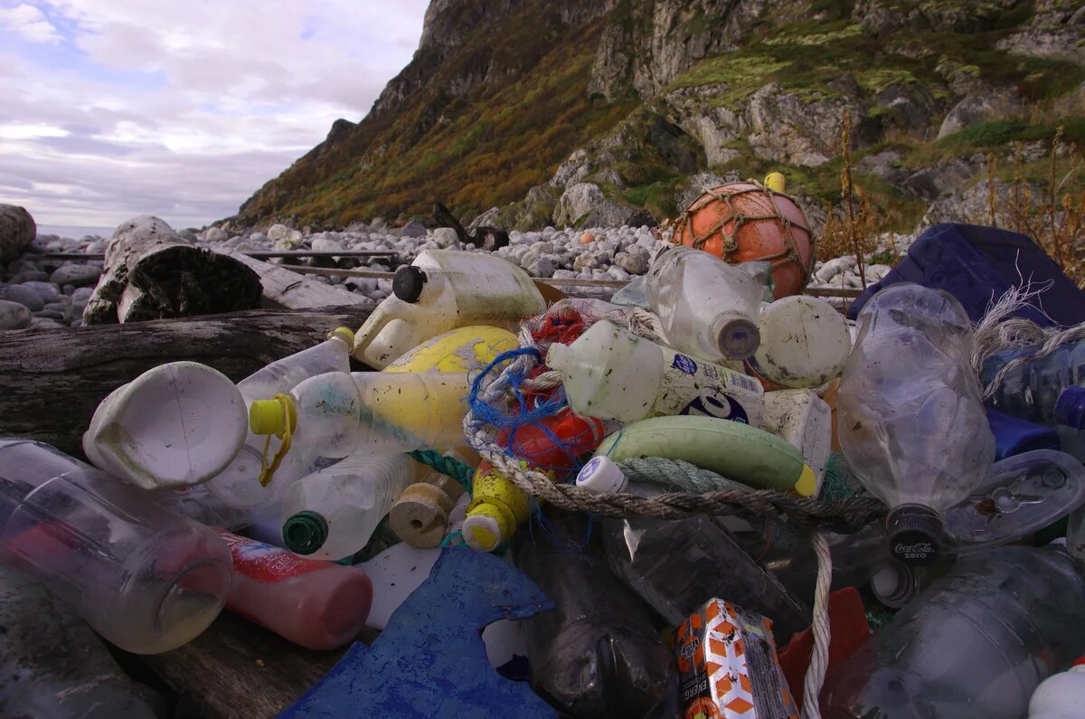 Marine litter. Most often found: Plastic pieces, bottles, rope, floats and buoys. Abfälle im Meer. Am häufigsten gefunden: Kunststoffteile, Flaschen, Seile, Schwimmkörper und Bojen.