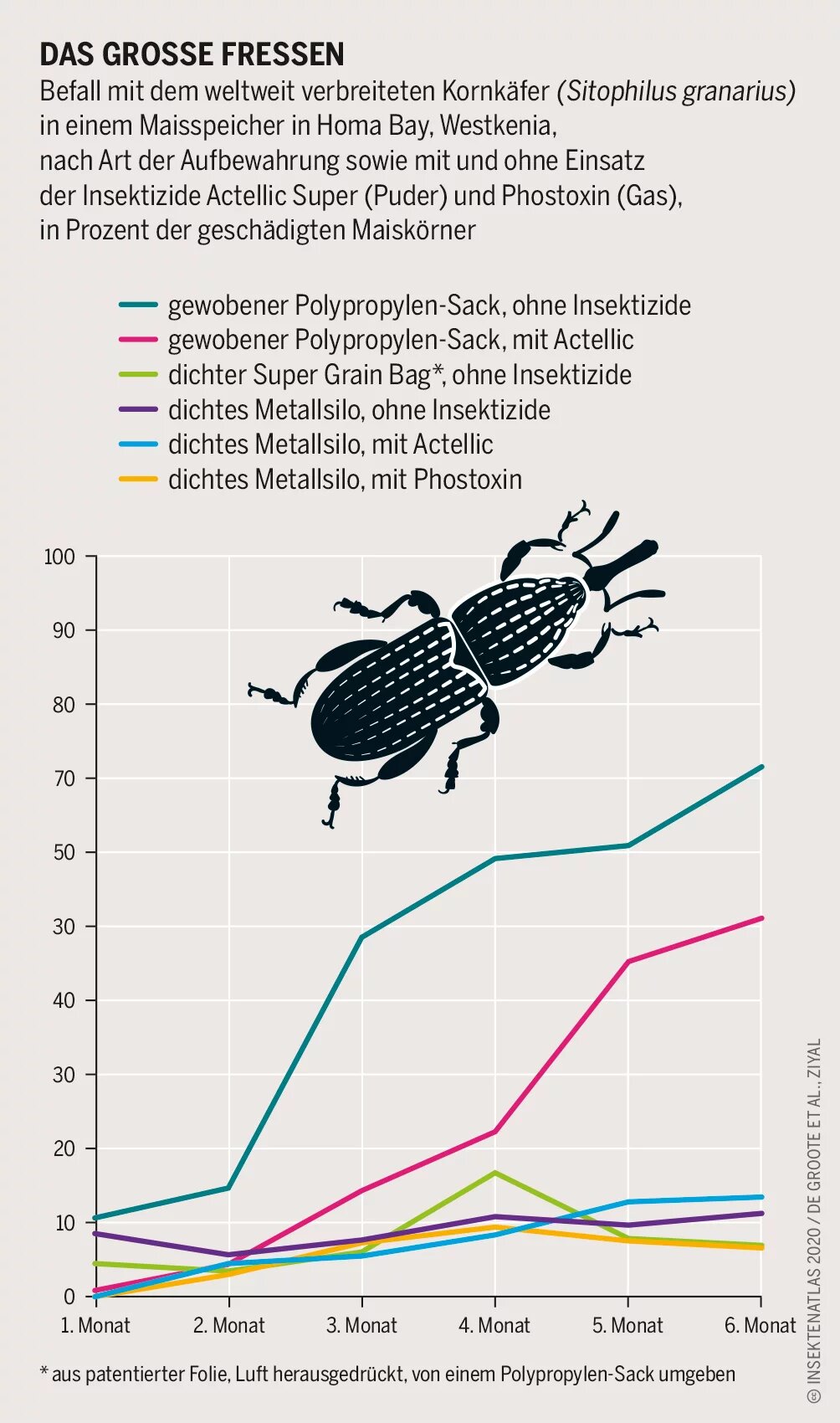 Das große Fressen - Grafik Befall des weltweit verbreiteten Kornkäfer
