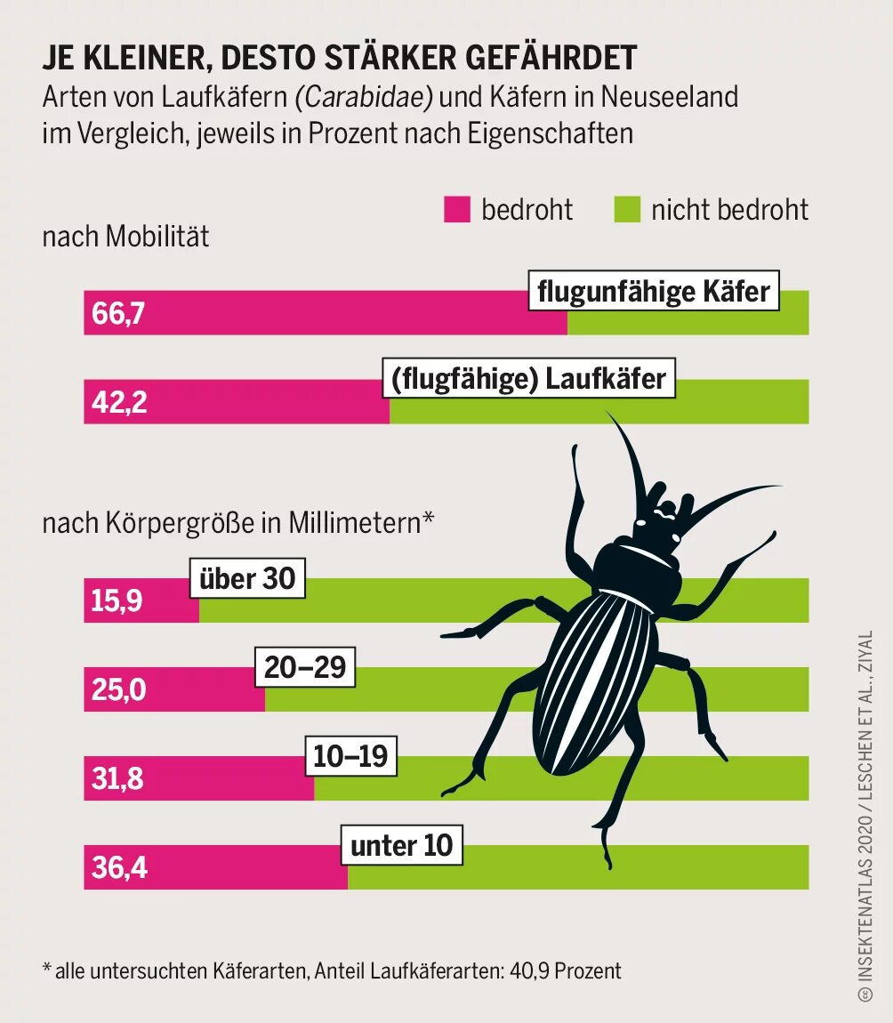 Grafik: Arten von Laufkäfern (Carabidae) und Käfern in Neuseeland im Vergleich, jeweils in Prozent nach Eigenschaften