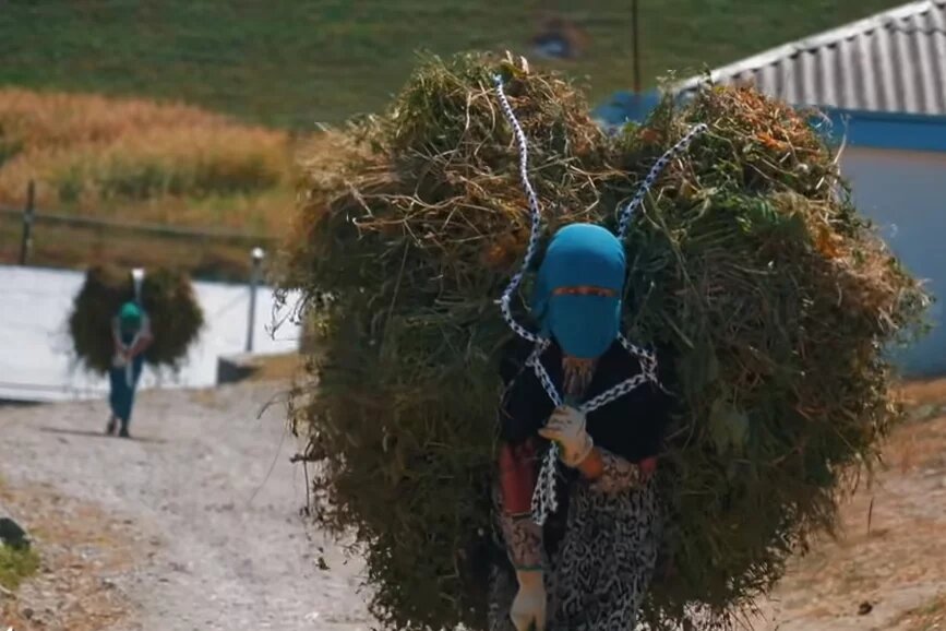 Skill: They Also Had Dreams. Stories of Dagestani Women Skill: They Also Had Dreams. Stories of Dagestani Women