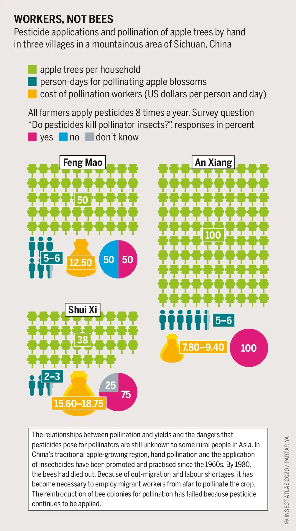 Workers, not bees Graphic: Workers, not bees