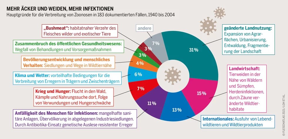 Fleischatlas Infografik: Hauptgründe für die Verbreitung von Zoonosen in 183 dokumentierten Fällen, 1940 bis 2004