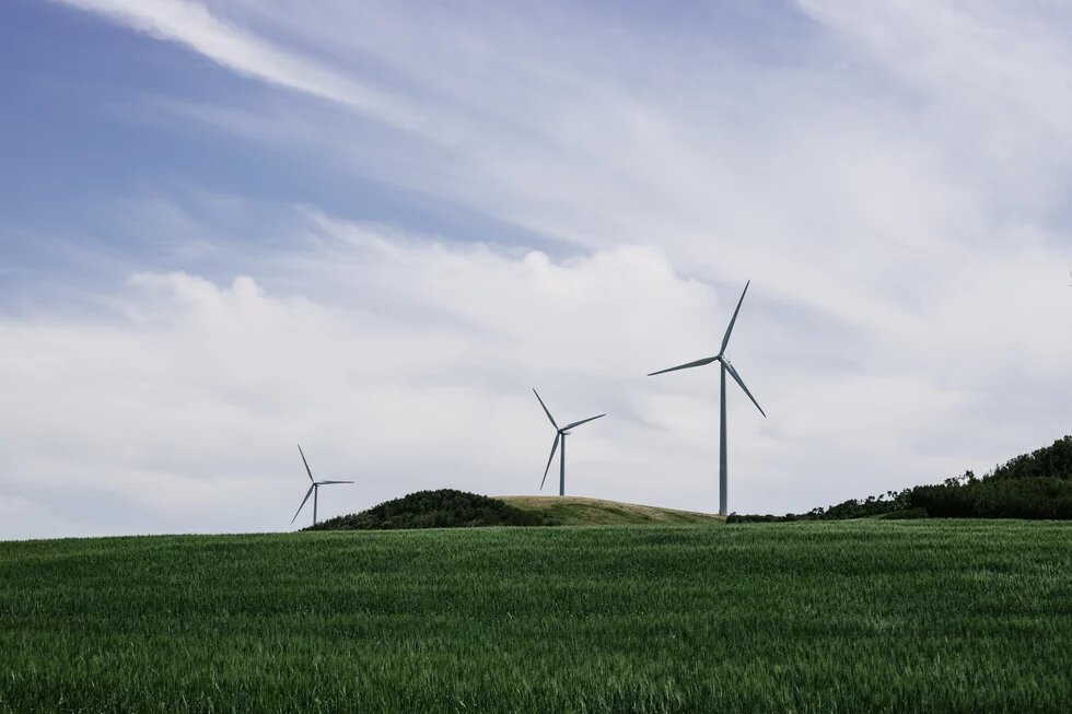 Windräder auf einem grünen Feld