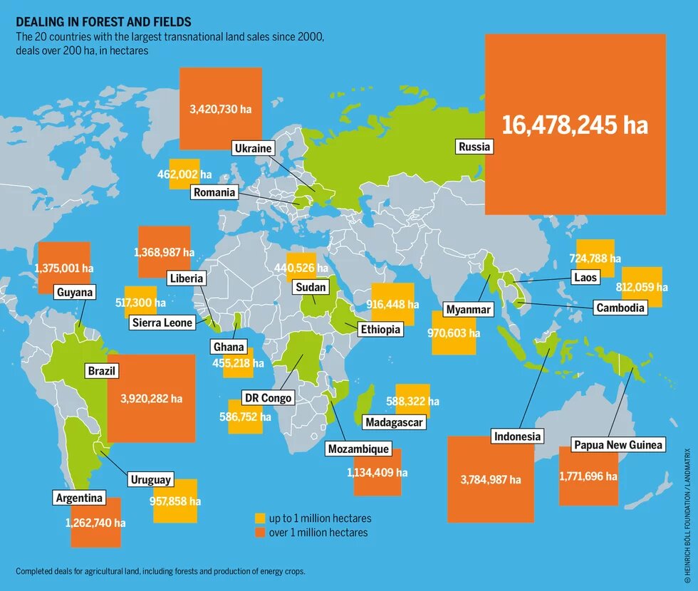 Dealing in forest and fields Power Poverty Hunger: Graphic 11