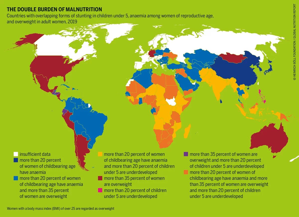 The double burden of malnutrition Power Poverty Hunger: Graphic 9a
