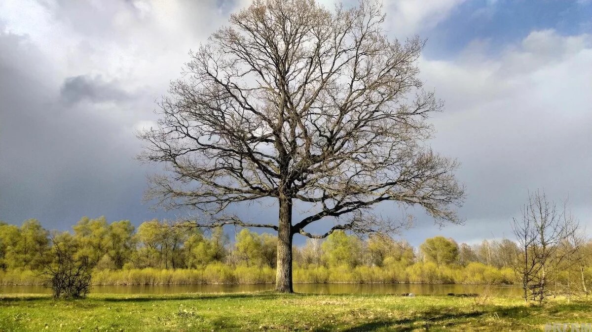 1_Naturaufnahme 1_Naturaufnahme