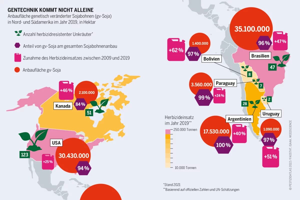 Vor allem im Sojaanbau scheint die gentechnische Veränderung im Saatgut zu einer deutlichen Steigerung des Pestizideinsatzes geführt zu haben Pestizidatlas Infografik: Anbaufläche genetisch veränderter Sojabohnen (gv-Soja) in Nord- und Südamerika im Jahr 2019, in Hektar