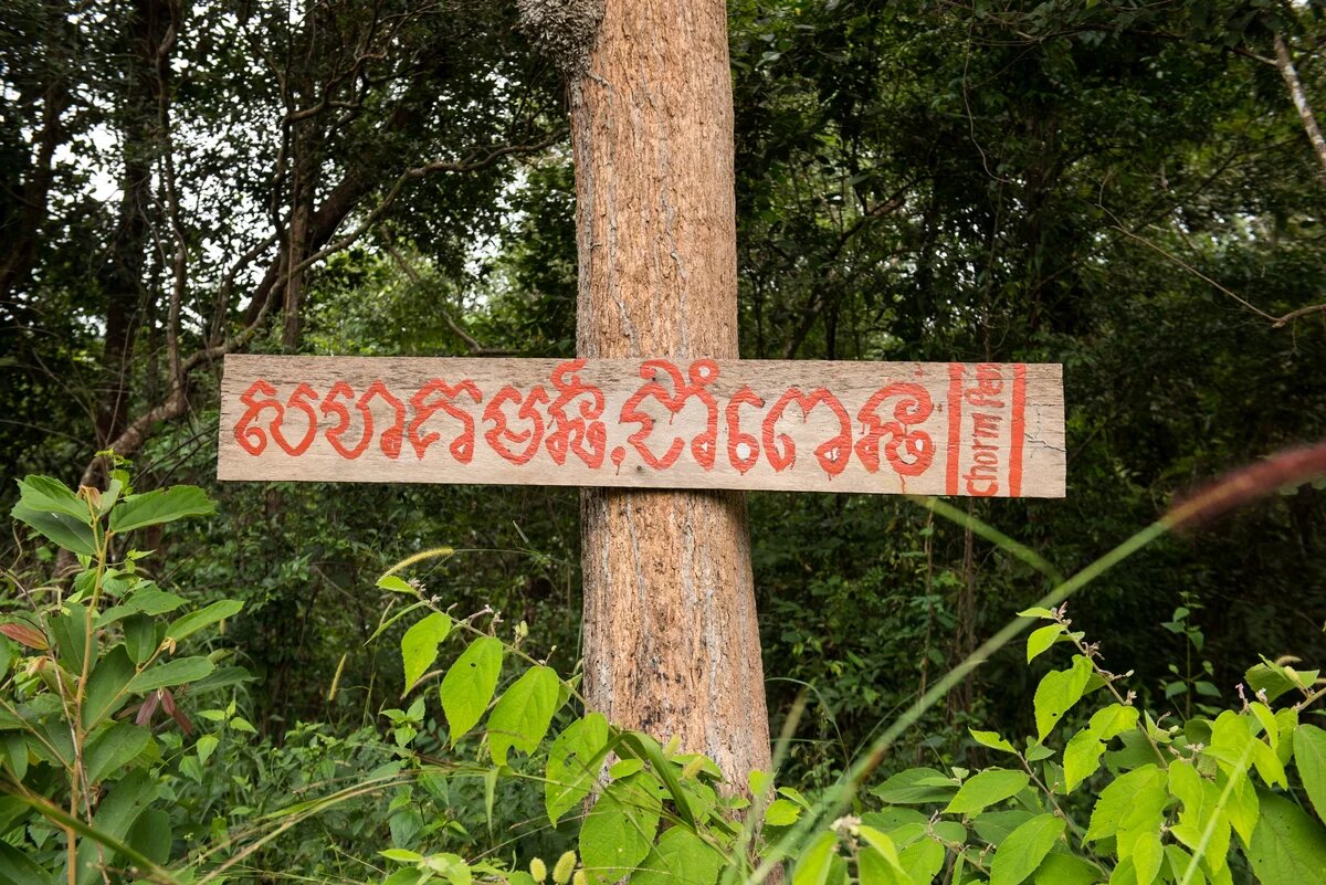 Kambodschanischer Wald: Brett am Baum mit roter Aufschrift