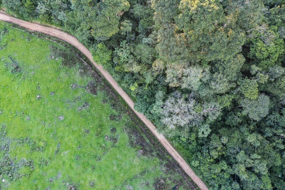 Luftaufnahme im Bundesstaat Pará Luftaufnahme im Bundesstaat Pará