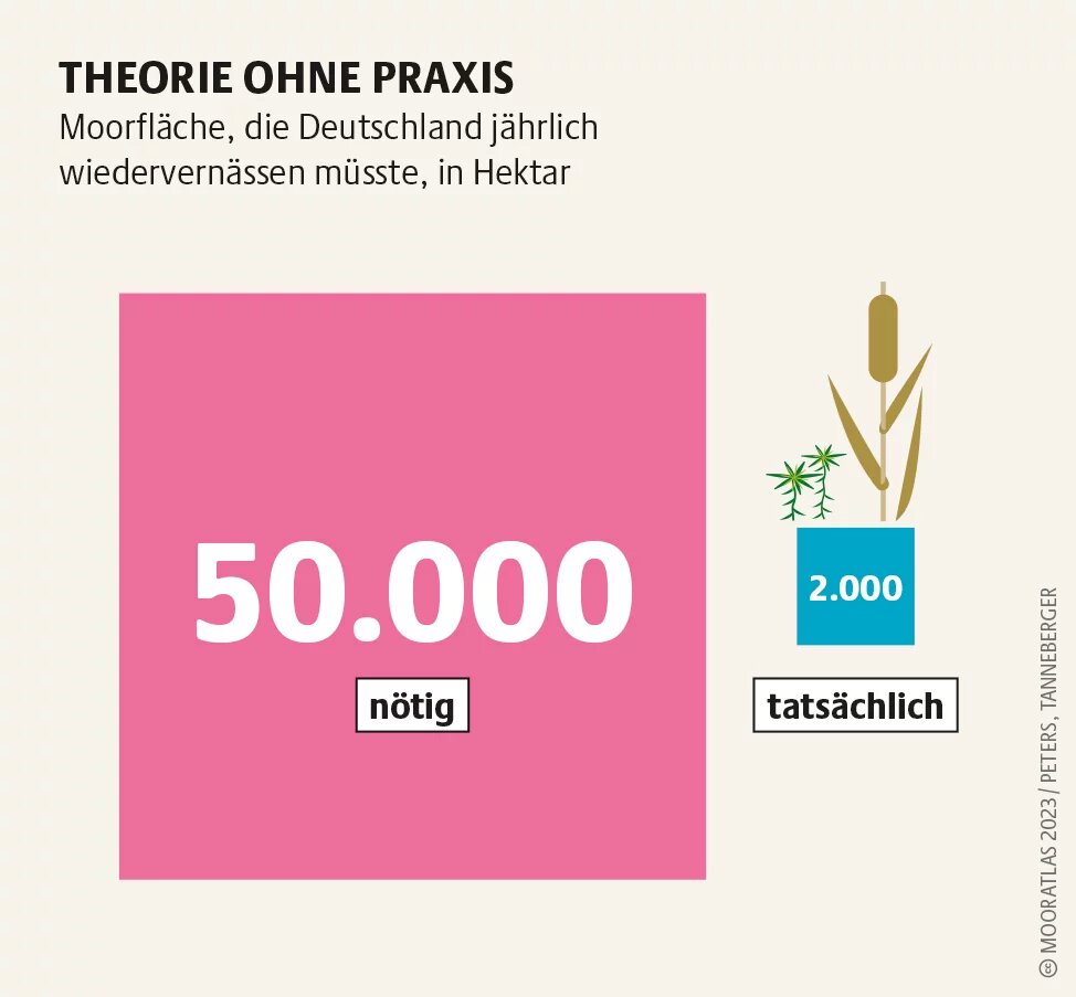 Das Umweltministerium kündigt an, bis 2026 zusätzlich 4 Milliarden Euro für natürlichen Schutz des Klimas bereitstellen zu wollen. Reichen wird das nicht Mooratlas Infografik: Moorfläche, die Deutschland jährlich wiedervernässen müsste, in Hektar