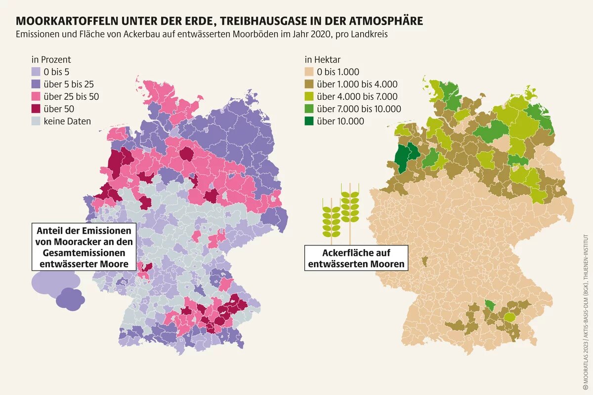 Weil ein deutscher Acker auf Moorboden im Mittel 25 Zentimenter tiefer entwässert ist als Grünland, fallen seine Emissionen höher aus Mooratlas Infografik: Emissionen und Fläche von Ackerbau auf entwässerten Moorböden im Jahr 2020, pro Landkreis