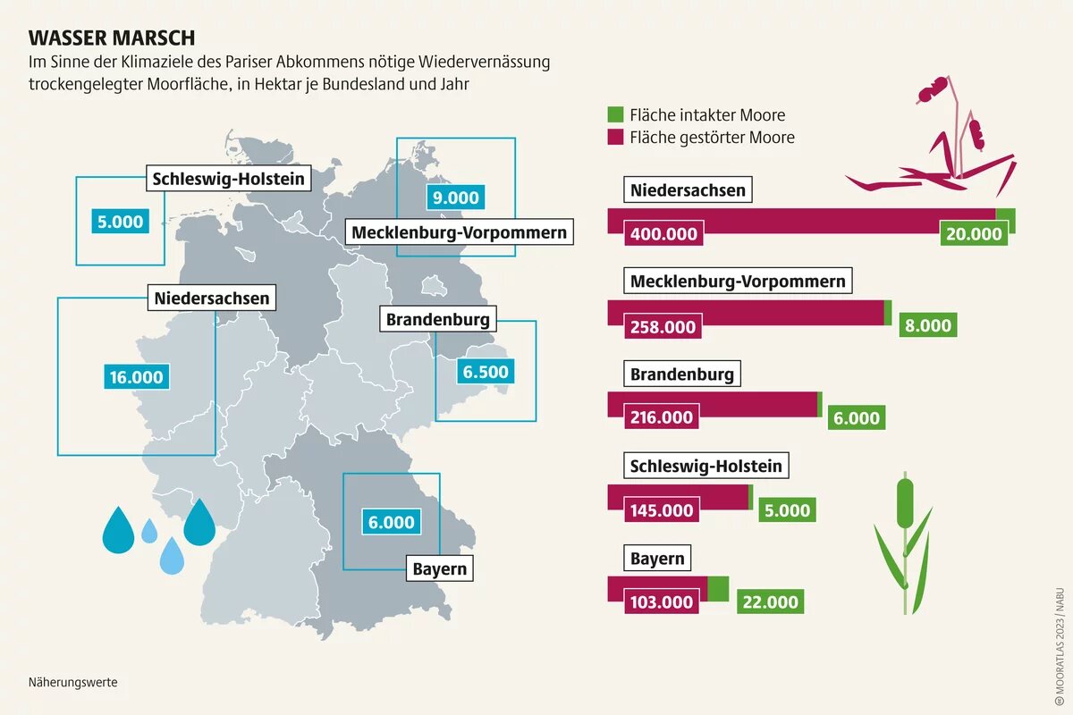 Intakte Moore? Kaum noch existent. Die Wiedervernässungsquoten? Ambitioniert. Für die Klimaziele aber unabdingbar Mooratlas Infografik: Im Sinne der Klimaziele des Pariser Abkommens nötige Wiedervernässung trockengelegter Moorfläche, in Hektar je Bundesland und Jahr