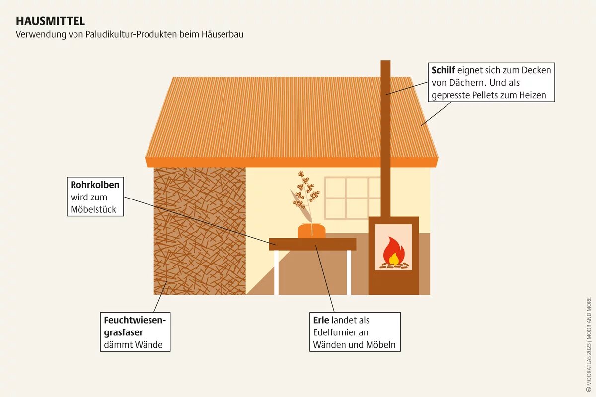 Bislang wurden Produkte aus Paludikultur vor allem in Tiny Houses verbaut. Doch auch bei normalen Häusern sind sie nützlich Mooratlas Infografik: Verwendung von Paludikultur-Produkten beim Häuserbau