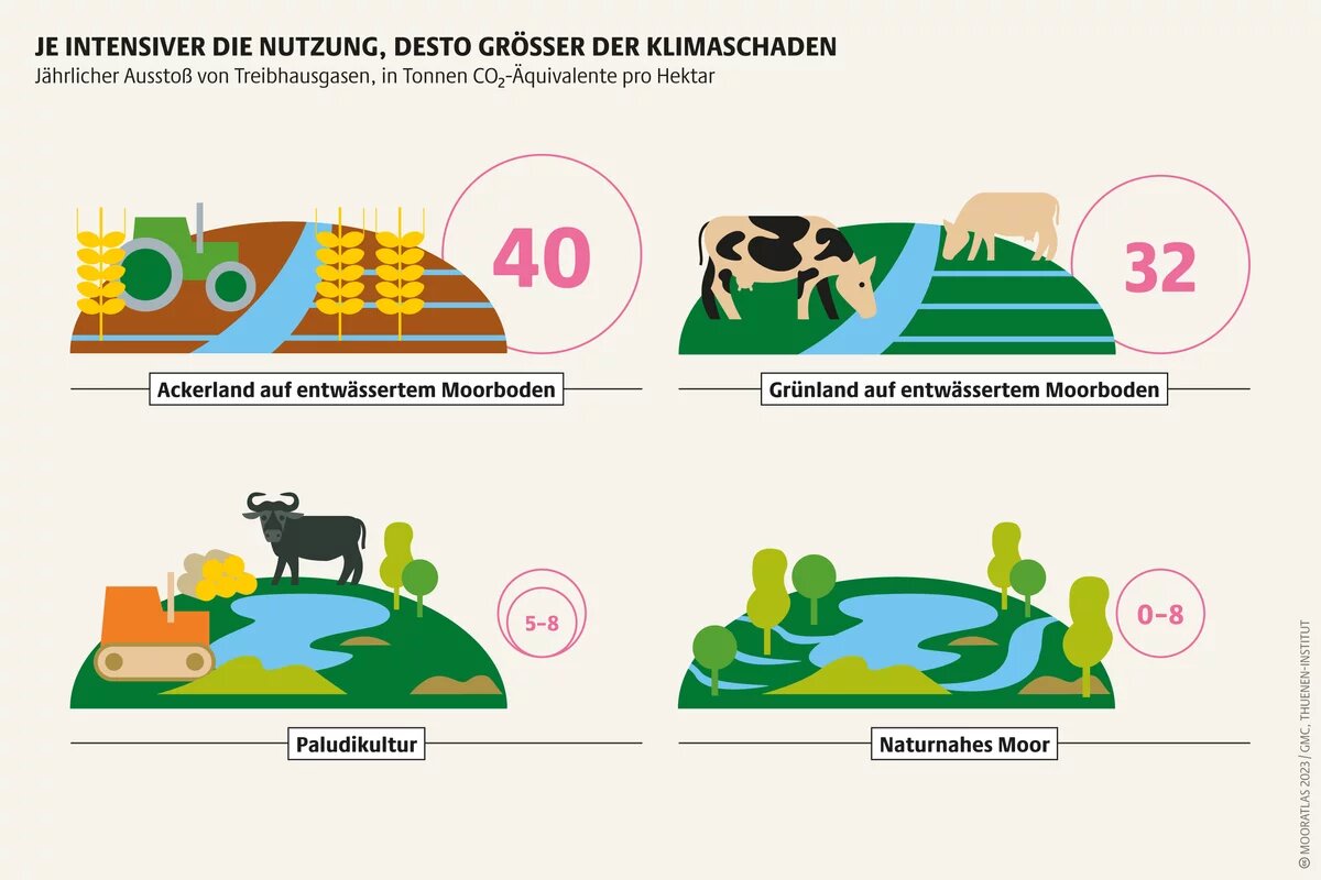 Anbau von Biomasse zum Heizen und Beweidung mit Wasserbüffeln: Paludikultur ermöglicht nachhaltige und lukrative Moornutzung Mooratlas Infografik: Jährlicher Ausstoß von Treibhausgasen, in Tonnen CO»-Äquivalente pro Hektar