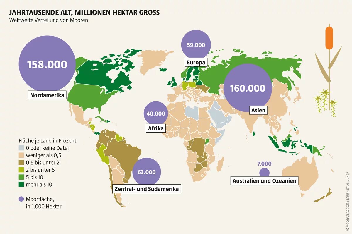 Moore sind Multitalente: Sie schützen Artenvielfalt und Klima und helfen bei Hochwasser und Dürre. Allerdings nur im intakten oder naturnahen Zustand Infografik Mooratlas: Weltweite Verteilung von Mooren