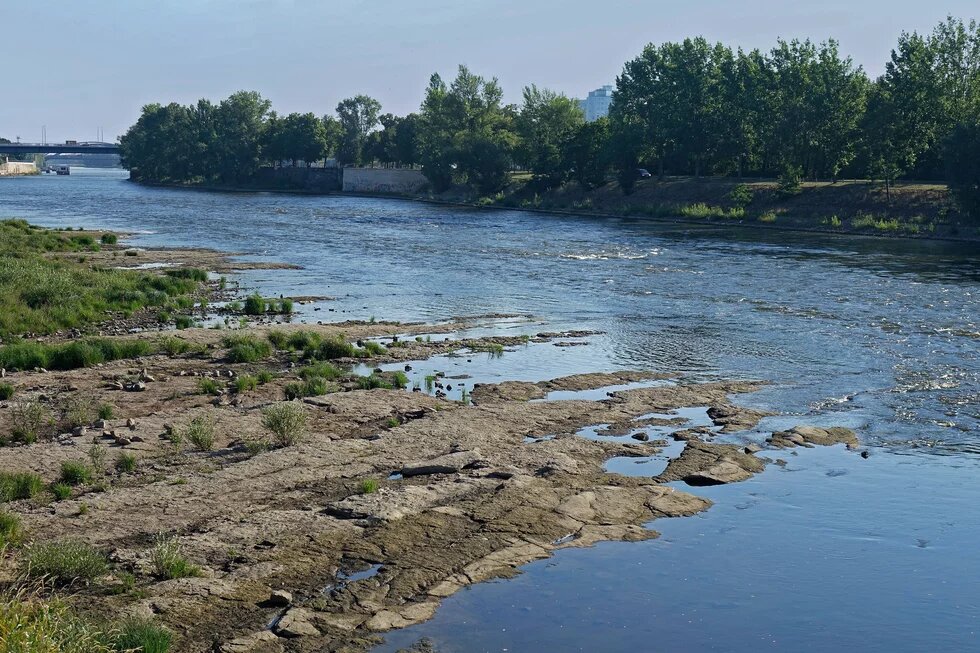 Ein Bild von einem Fluss in Magdeburg