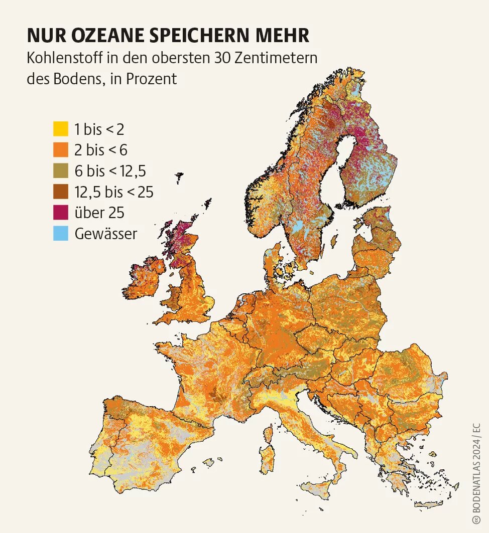 Organischer Kohlenstoff ist Hauptbestandteil von Humus, der sich meistens im Oberboden findet. Dadurch ist er besonders anfällig für Extremwetterereignisse