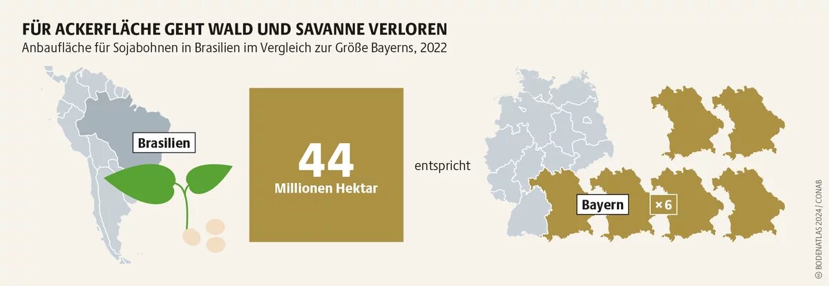 Auf immer mehr Fläche in Südamerika wird Soja angebaut. Nicht selten hängen Sojaplantagen mit Landnahme, Landraub, Vertreibung zusammen Auf immer mehr Fläche in Südamerika wird Soja angebaut. Nicht selten hängen Sojaplantagen mit Landnahme, Landraub, Vertreibung zusammen