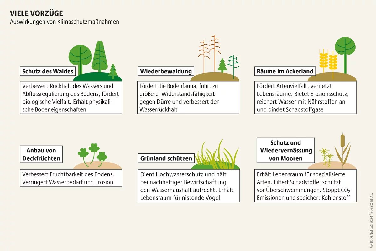 Klimaschutz erhält nicht nur den Kohlenstoffgehalt im Boden. Er verbessert auch die Artenvielfalt, die Luft, die wir atmen, und das Wasser, das wir trinken Klimaschutz erhält nicht nur den Kohlenstoffgehalt im Boden. Er verbessert auch die Artenvielfalt, die Luft, die wir atmen, und das Wasser, das wir trinken