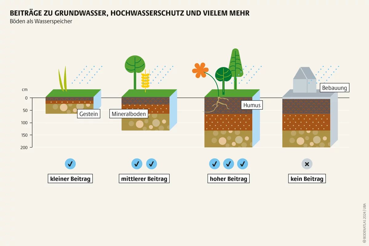 Gut entwickelte, tiefe Böden können besonders viel Regenwasser speichern. Ins Grundwasser gelangt es durch versickern Gut entwickelte, tiefe Böden können besonders viel Regenwasser speichern. Ins Grundwasser gelangt es durch versickern
