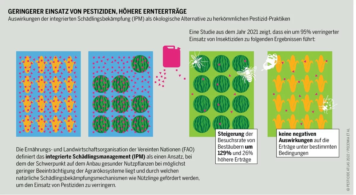 Infografik zeigt, dass ein geringerer Einsatz von Insektiziden und intergriertes Schädlingsmanagement die Erneerträge steigern kan