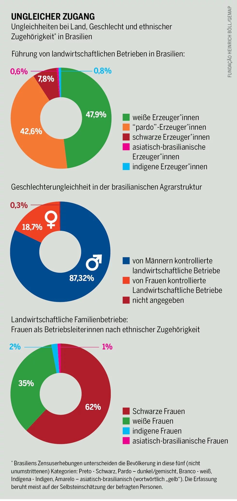 Die Ungleichheiten beim Besitz von Land lassen sich auch über die Kategorien „ethnische Zugehörigkeit“ (im Portugiesischen „raça“) und Geschlecht darstellen. In der regelmäßigen nationalen Erhebung über den Landwirtschaftssektor (Censo Agropecuário) werden diese Kategorien erst seit 2017 erfasst.