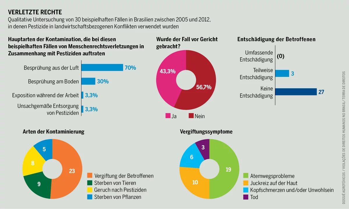 Verletzte Rechte Infografik zu Pestiziden und verletzten Rechten in Brasilien