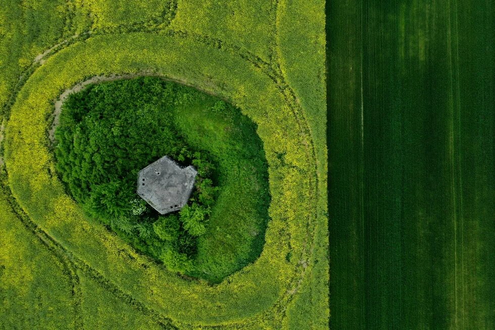 Green Recovery: Grünes Feld