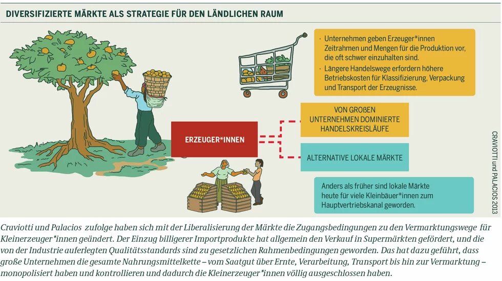 Diversifizierte Märkte als Strategie für den Ländlichen Raum Illustration: Person pflückt Früchte von einem Baum, daneben ein Einkaufswagen und eine Marktverkaufszene. Texte erläutern Handelsstrukturen.