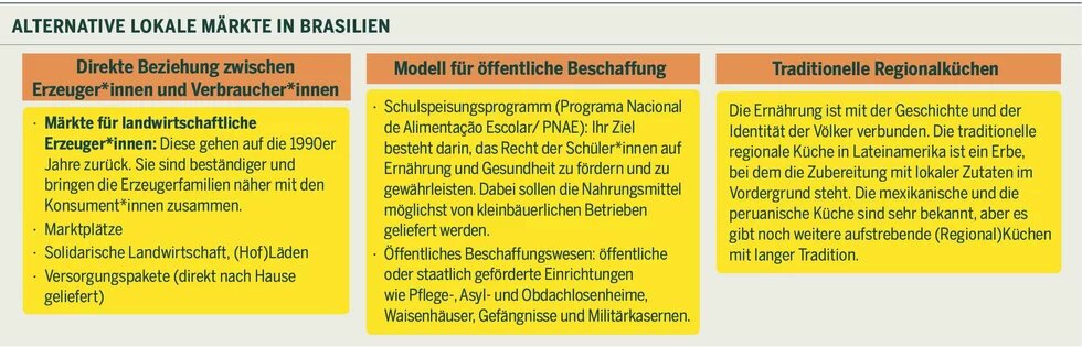 GPT  Illustration: Drei Kategorien zu alternativen lokalen Märkten in Brasilien, mit Stichpunkten zu direktem Handel, öffentlicher Beschaffung und Regionalküchen.