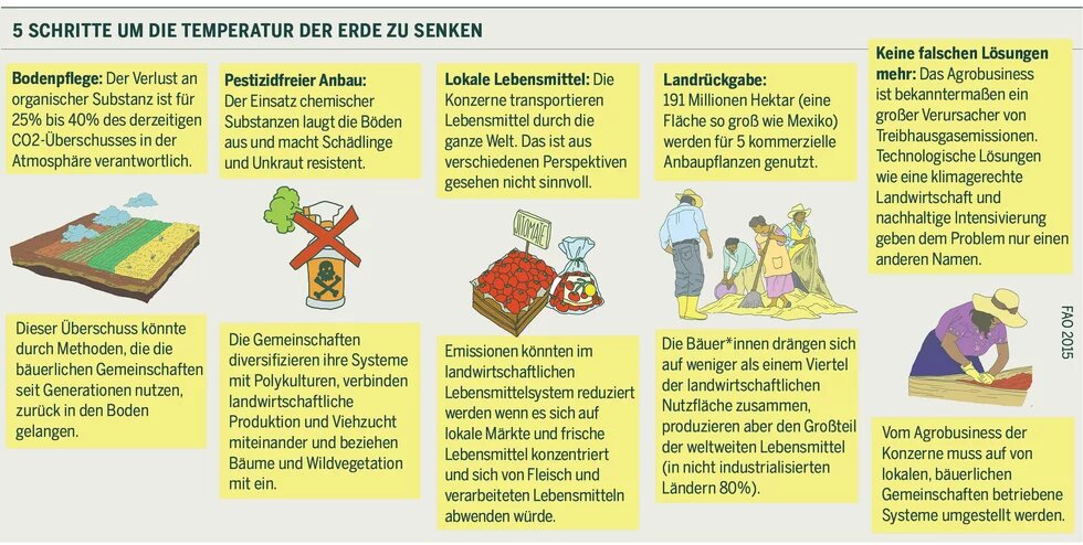 5 Schritte um die Temperatur der Erde zu senken