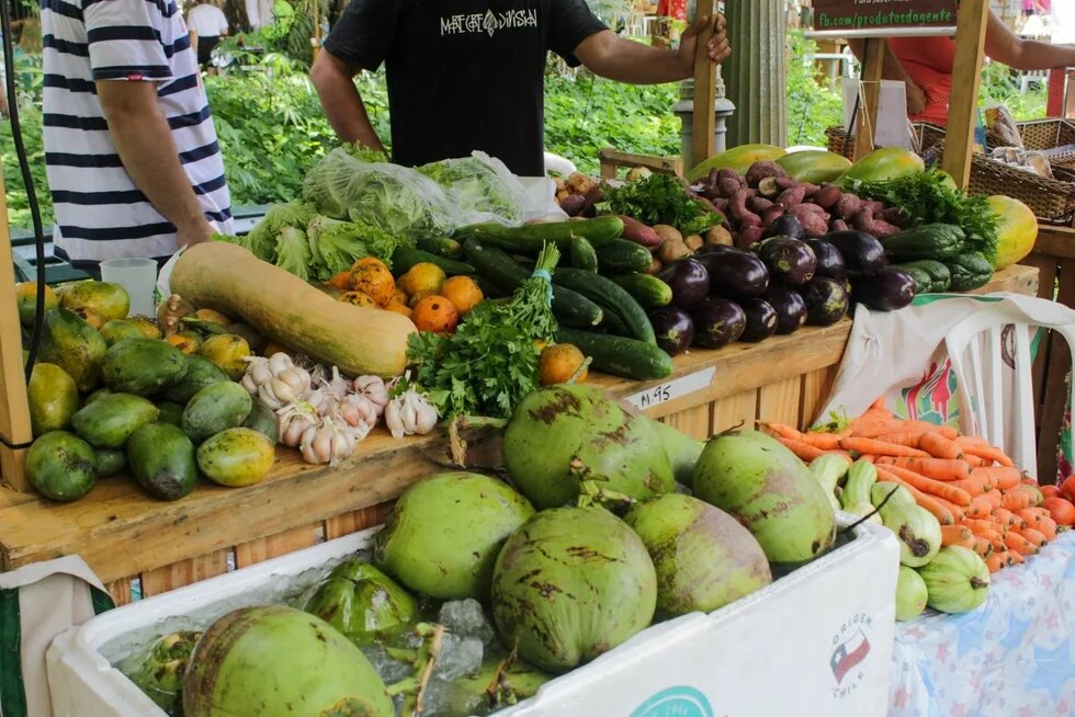 Obst und Gemüse auf einem Marktstand. Foto: Marktstand mit tropischen Früchten und Gemüse, darunter Kokosnüsse, Karotten, Auberginen, Gurken und Kräuter. Zwei Personen im Hintergrund.