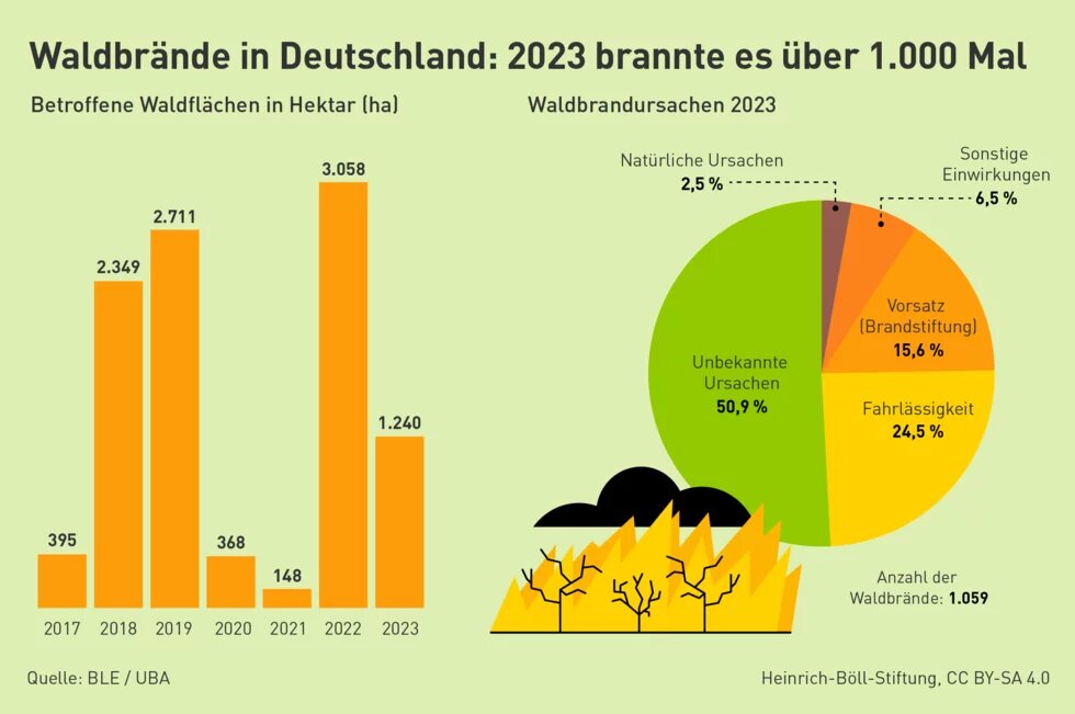 Balkendiagramm zeigt betroffene Waldflächen 2017–2023, Höhepunkt 2022. Kreisdiagramm zeigt Waldbrandursachen 2023: 50,9 % unbekannte Ursachen.