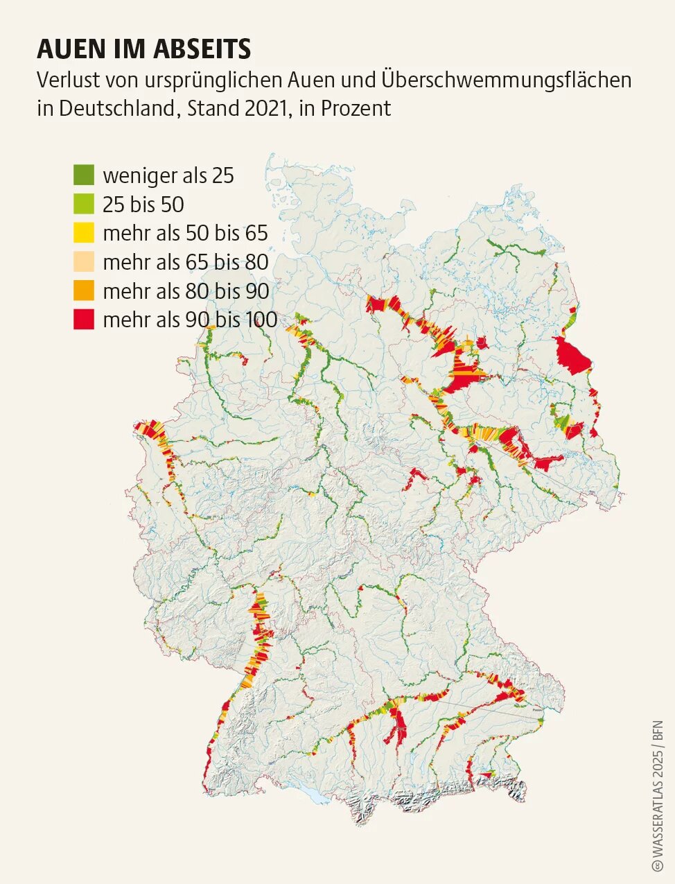 Wasseratlas Infografik: Auen im Abseits Verlust von ursprünglichen Auen und Überschwemmungsflächen in Deutschland, Stand 2021, in Prozent