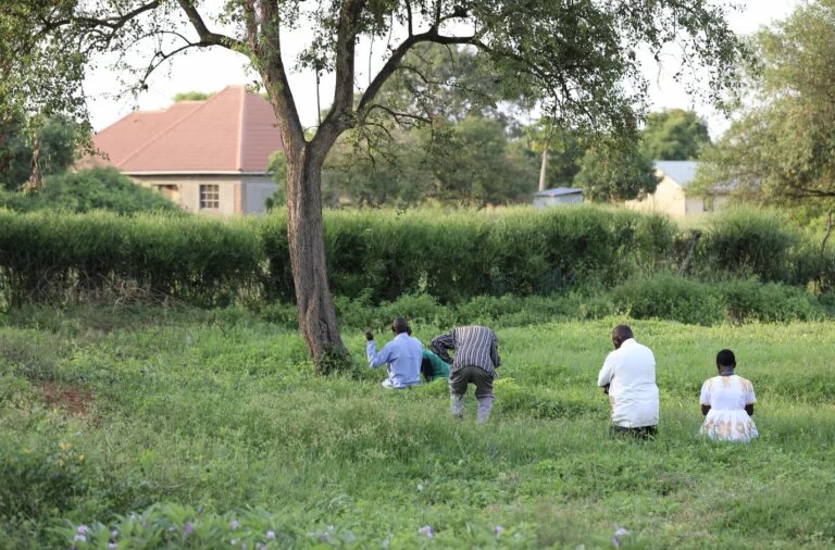 Wächter:innen der SNS (‚Balamansi‘) sprechen ein Morgengebet am Ort eines Gemeinschaftsdialog-Prozesses. Vier Personen knien in einer grünen Wiese unter einem Baum. 