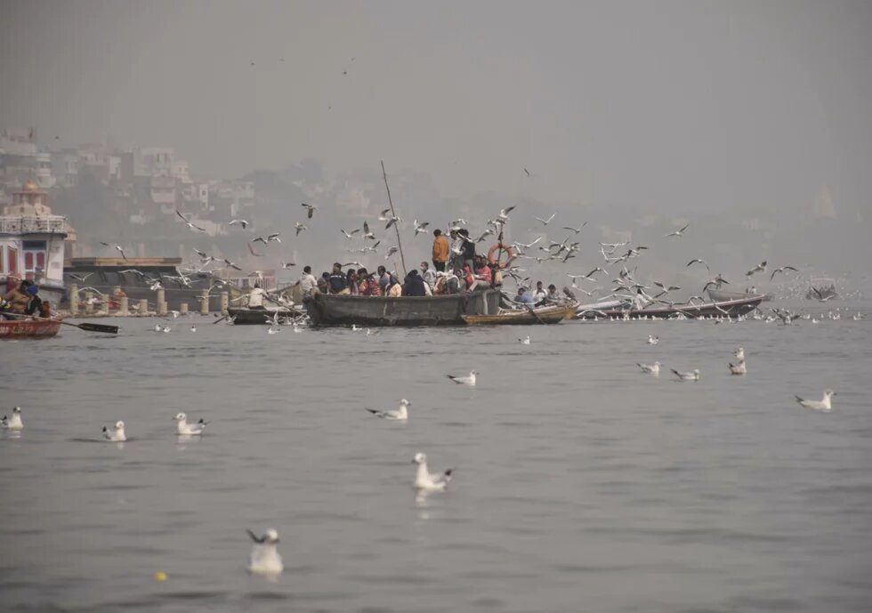Menschen in kleinen Booten auf dem Fluss Ganges in Indien, um sie herum und auf dem Wasser fliegen und schwimmen viele Möwen. 