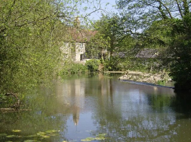 Blick auf einen Fluss, umwachsen von Bäumen und Sträuchern, im Hintergrund steht ein Haus.