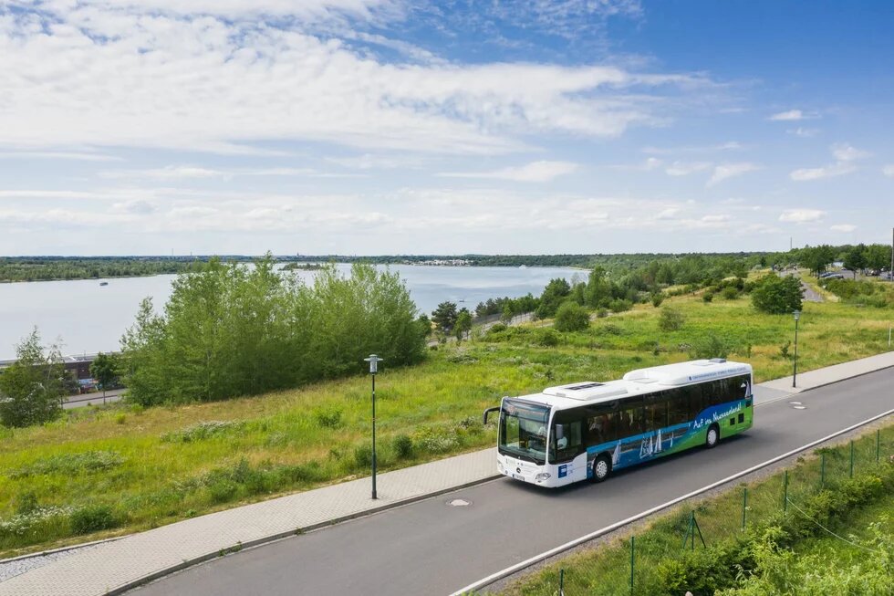 Ein Linienbus fährt auf einer Straße am See entlang, rechts und links grüne Wiesen mit vereinzelten Bäumen.