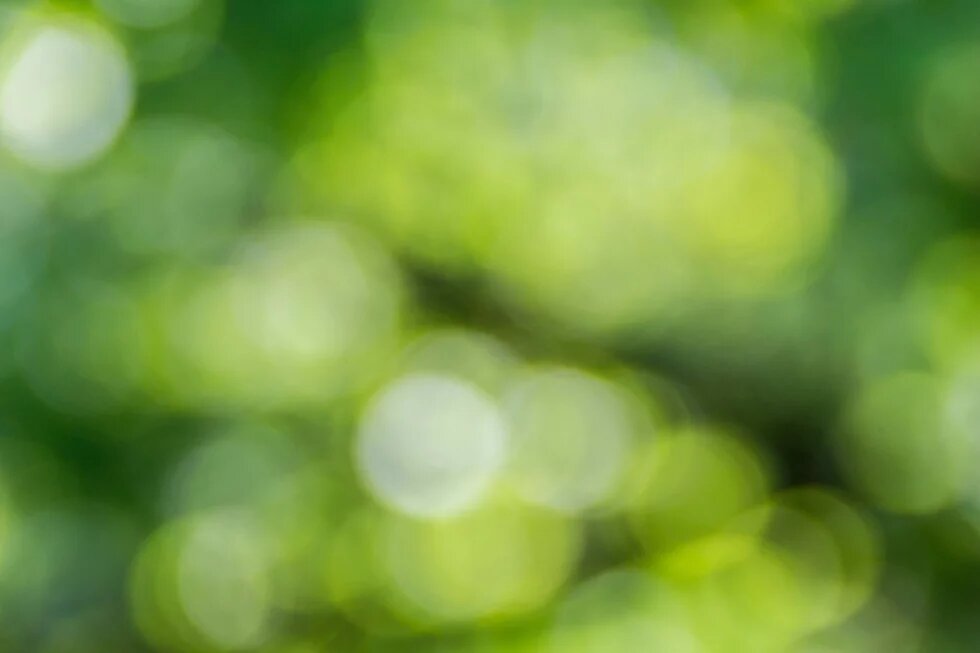 Unscharfe grün-gelbe Lichtkreise vor dunklem Hintergrund.