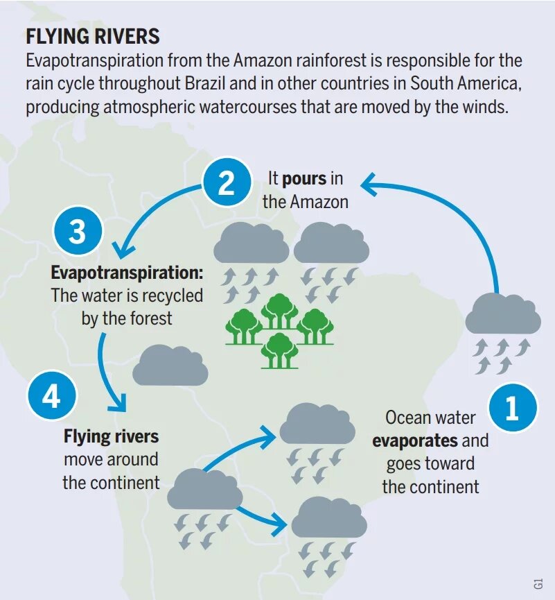 Diagram of the water cycle over the Amazon: seawater evaporates and moves to the continent, where it rains over the Amazon (pours). The forest recycles the water through evapotranspiration, and the resulting clouds move across the continent as flying rivers.