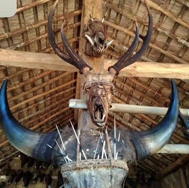 Large buffalo skull head with wide horns, many arrows in fur, thatched roof and wooden structure in background.
